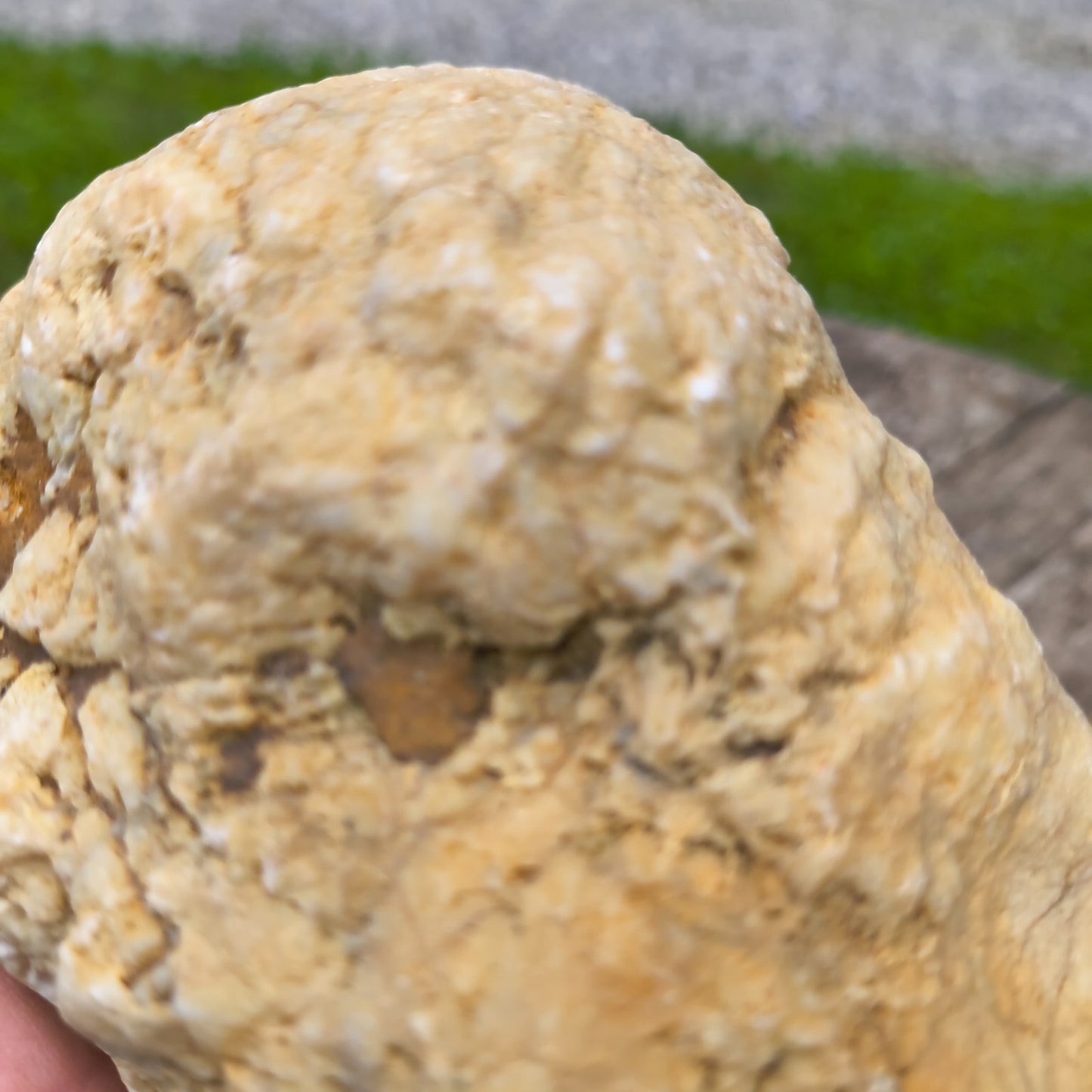 3.67 lb Natural Kentucky Geode, Unopened Whole Exact Specimen, 14 Inch Circ, Bonus – Fishing Creek, KY