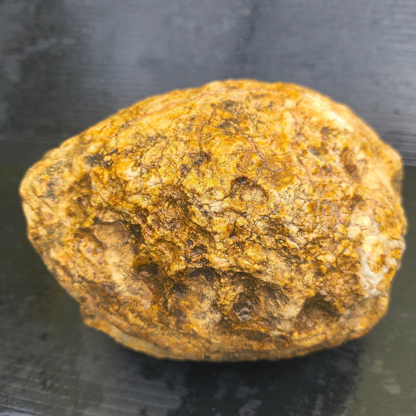4.44 lb Kentucky Geode, Unopened Exact Specimen, Natural Whole Geode – Fishing Creek, KY
