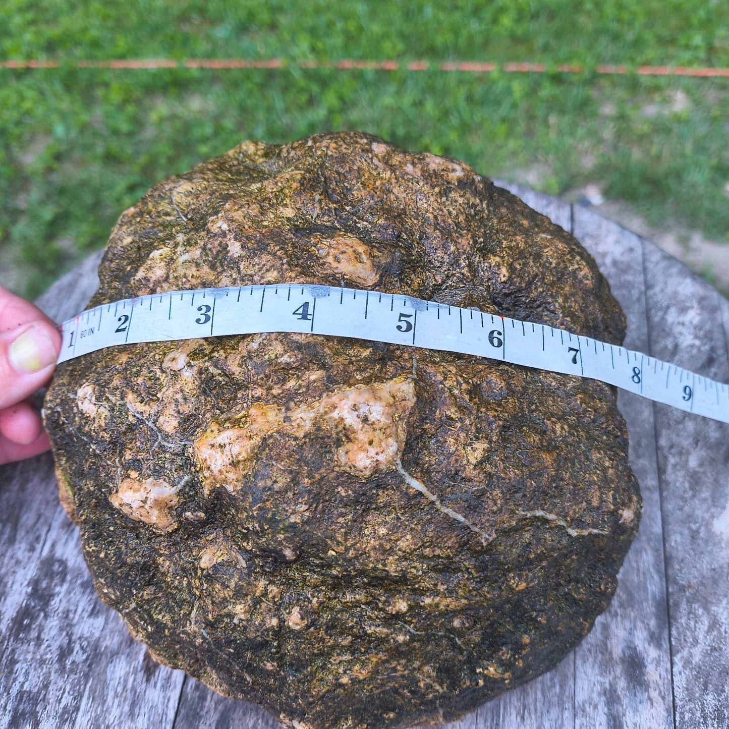 9.22 lb Kentucky Geode, Unopened Natural Crystal Geode + Bonus – Fishing Creek, KY