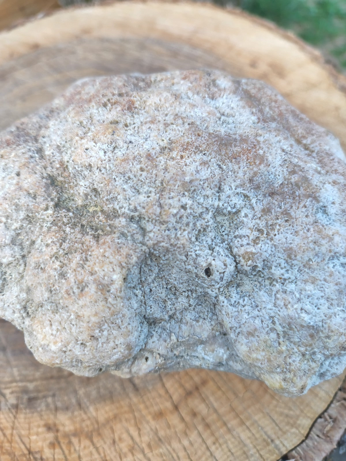Exact Kentucky Rattler Geode, 4.09 lb Natural Unopened Crystal Geode – Fishing Creek, KY