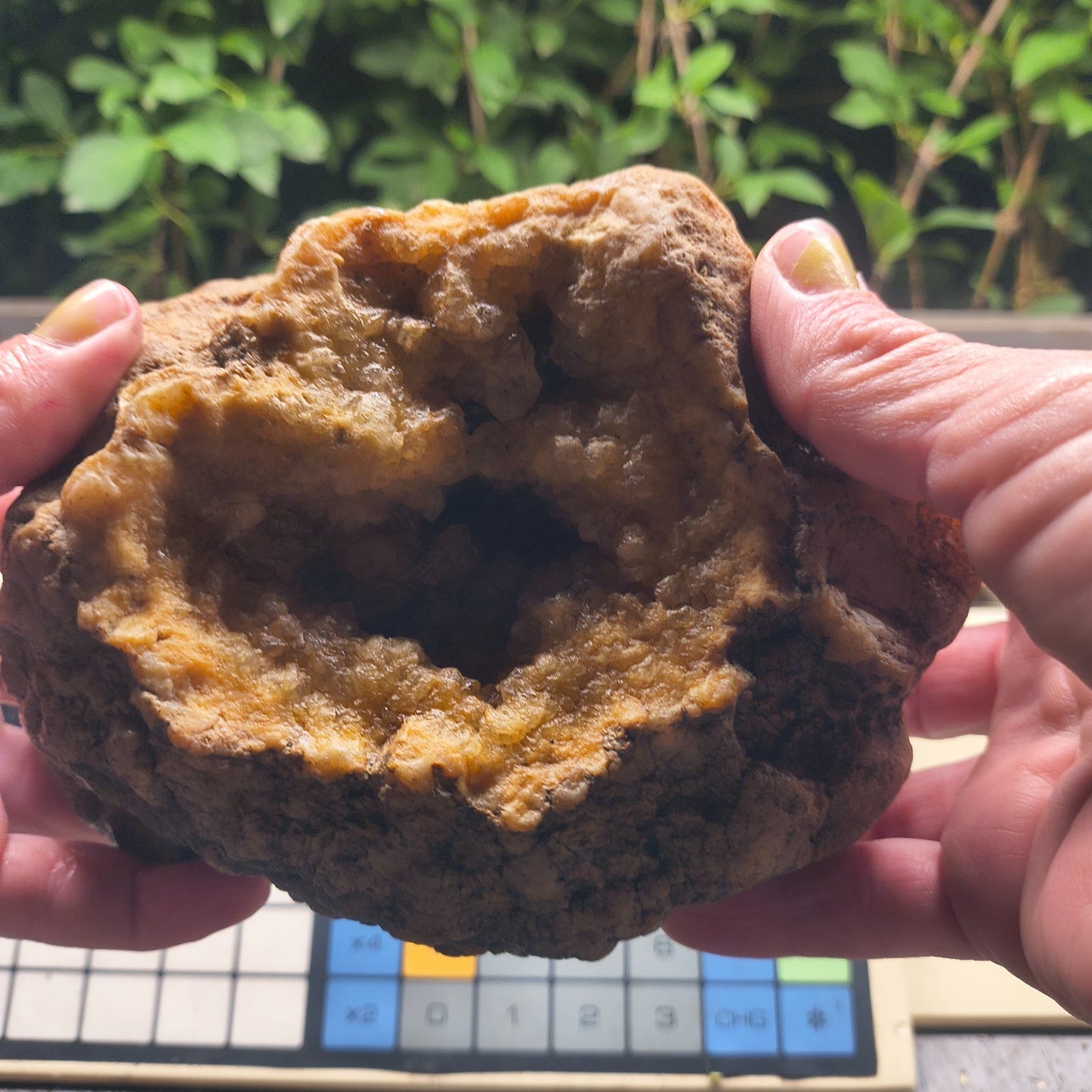 Kentucky Crystal Geode, Natural Druzy Quartz Geode, 4.53 lb Educational Specimen – Fishing Creek, KY