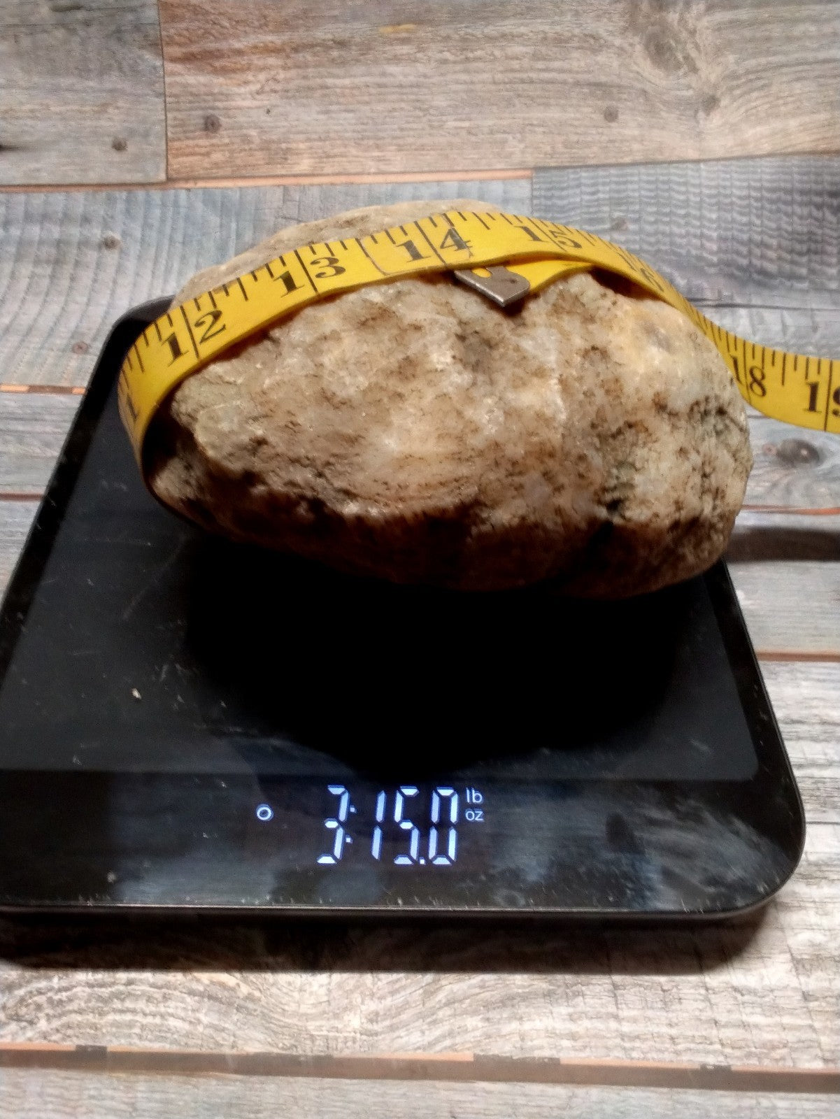 Authentic Kentucky Geode, 6 Inch, Unopened Exact Specimen, Natural Crystal Inside, 3lb – Fishing Creek, KY