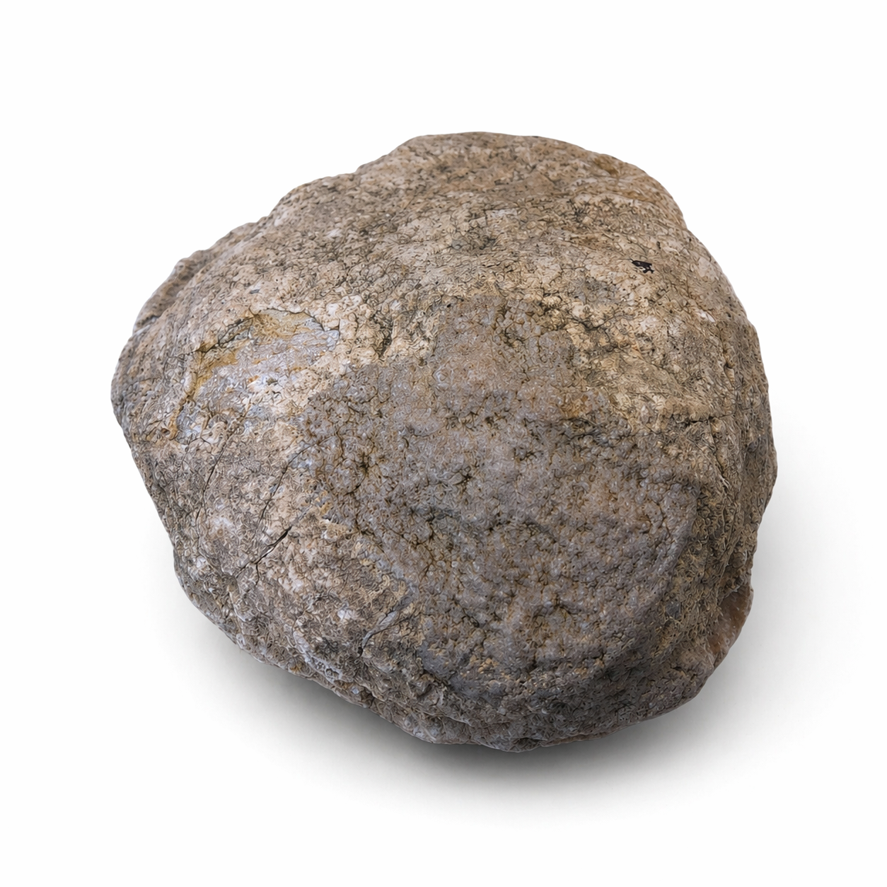 4.12 lb Kentucky Rattler Geode, Whole Unopened Exact Item, Natural Uncut – Fishing Creek, KY