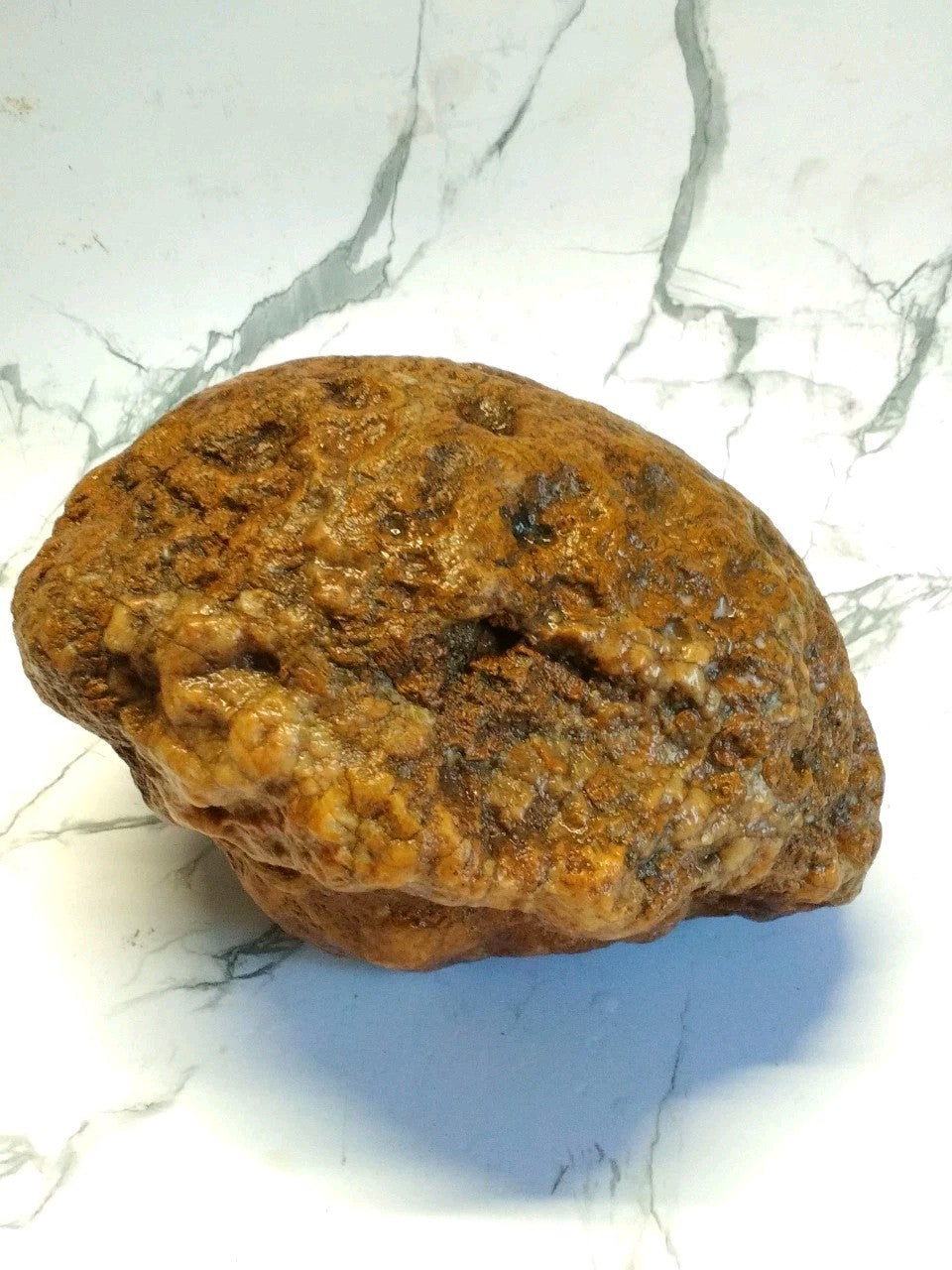 Huge 7 Inch Unopened Kentucky Geode, 6.8lb Natural Quartz Crystal Nodule, Uncut Stone – Fishing Creek, KY