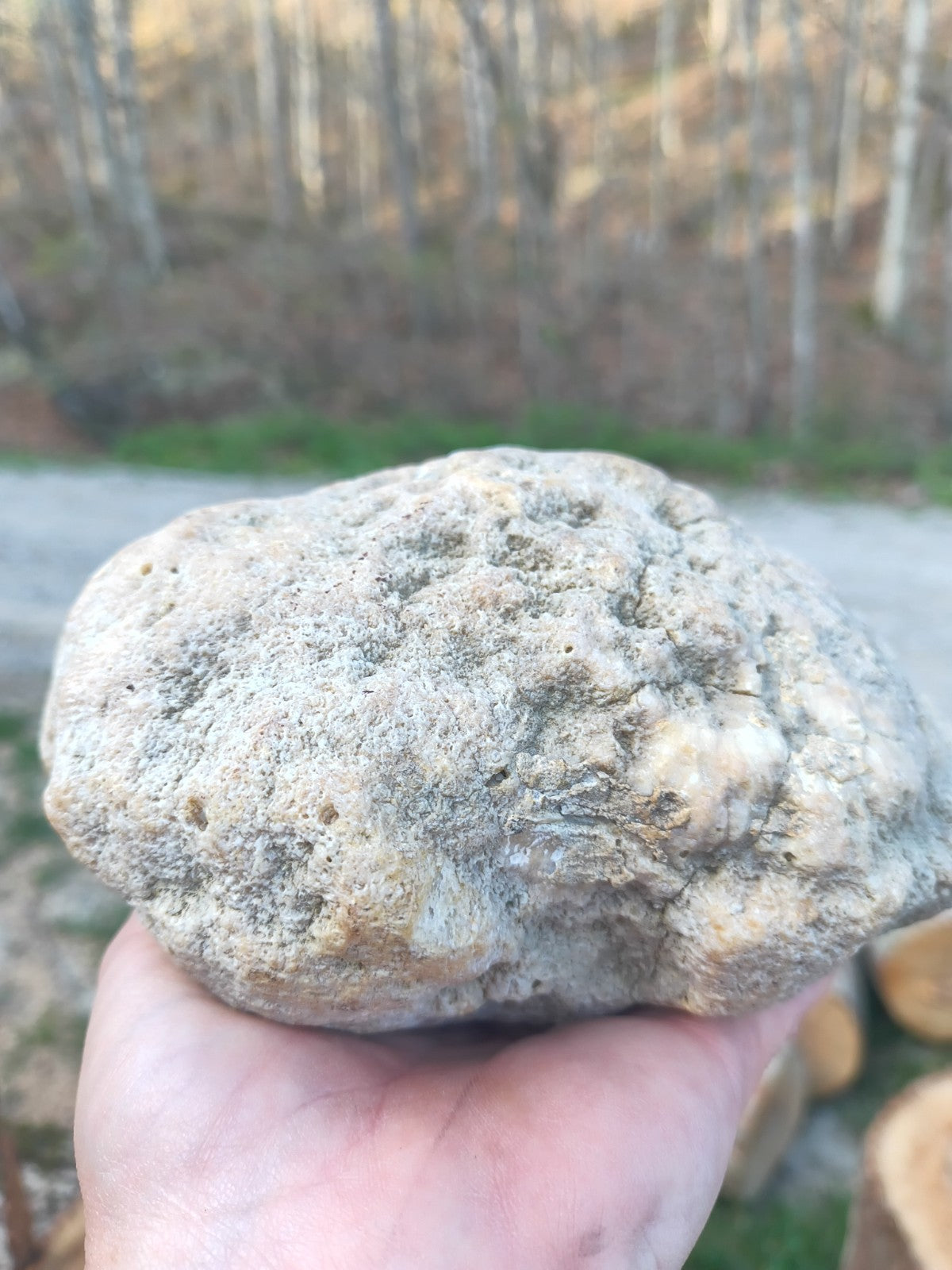 Exact Kentucky Rattler Geode, 4.09 lb Natural Unopened Crystal Geode – Fishing Creek, KY