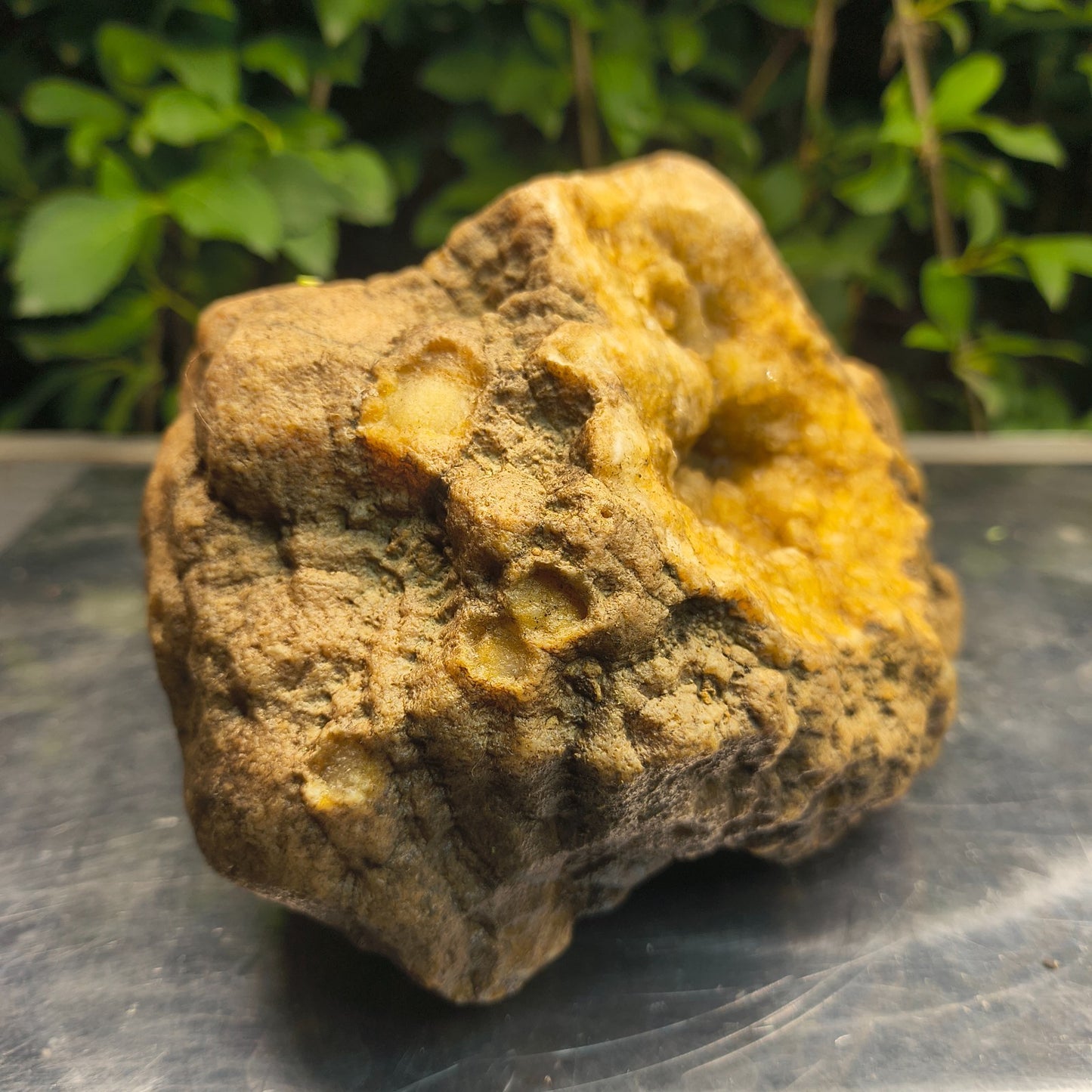 Kentucky Crystal Geode, Natural Druzy Quartz Geode, 4.53 lb Educational Specimen – Fishing Creek, KY