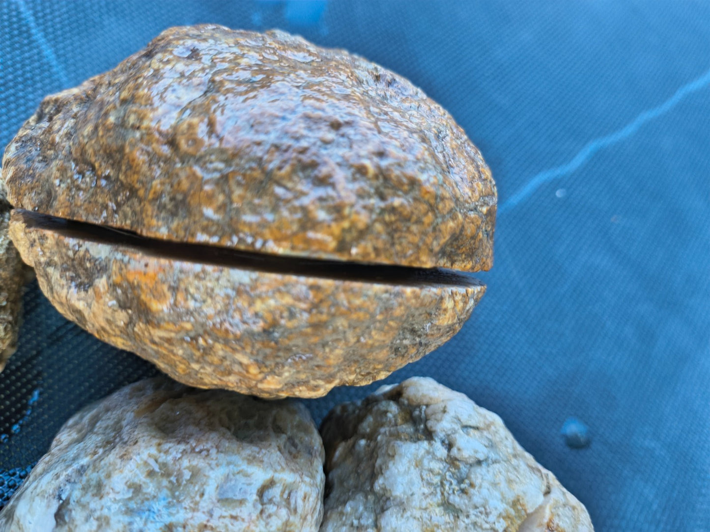 3 lb 4.5 oz Natural Kentucky Crystal Lined, Open Druzy Quartz Display – Fishing Creek, KY