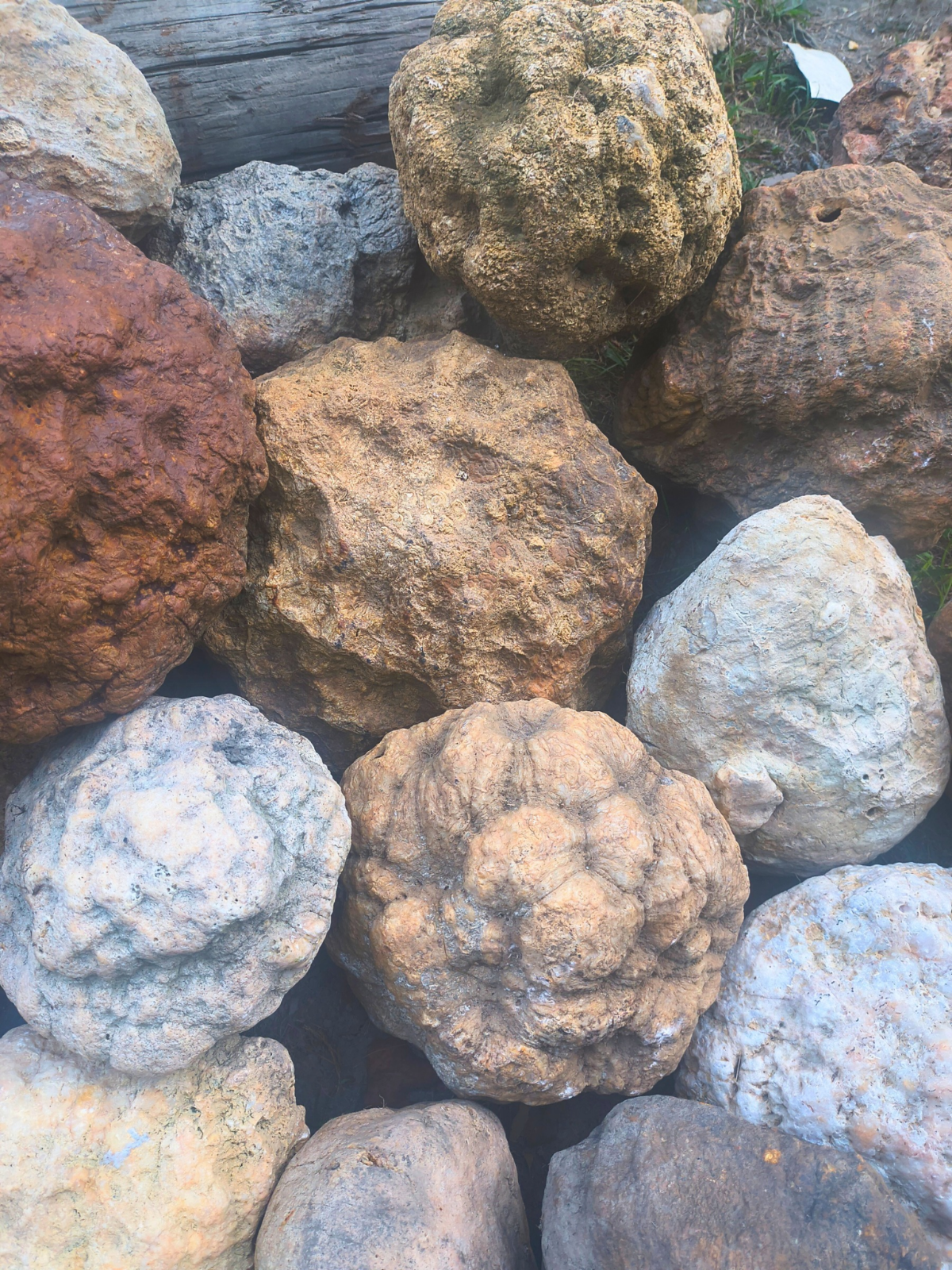 30 lb Lot Unopened Kentucky Geodes, Break Your Own, Bulk Mixed Sizes, Hand Picked – Fishing Creek, KY