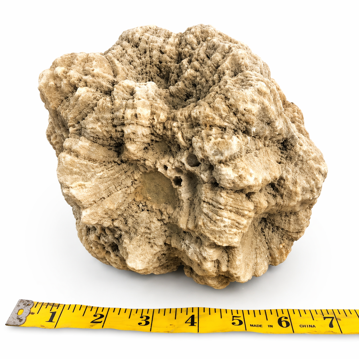 Large 11.32 lb Natural Kentucky Mineral Specimen, Display Rock – Fishing Creek, KY