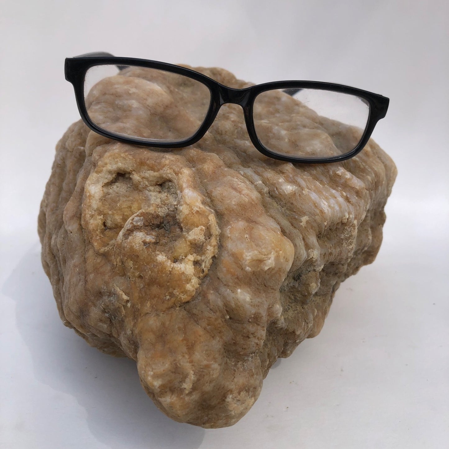 18.44 lb Kentucky Thunder Egg Geode, Lincoln County, Nodular Chalcedony, Uncut – Fishing Creek, KY