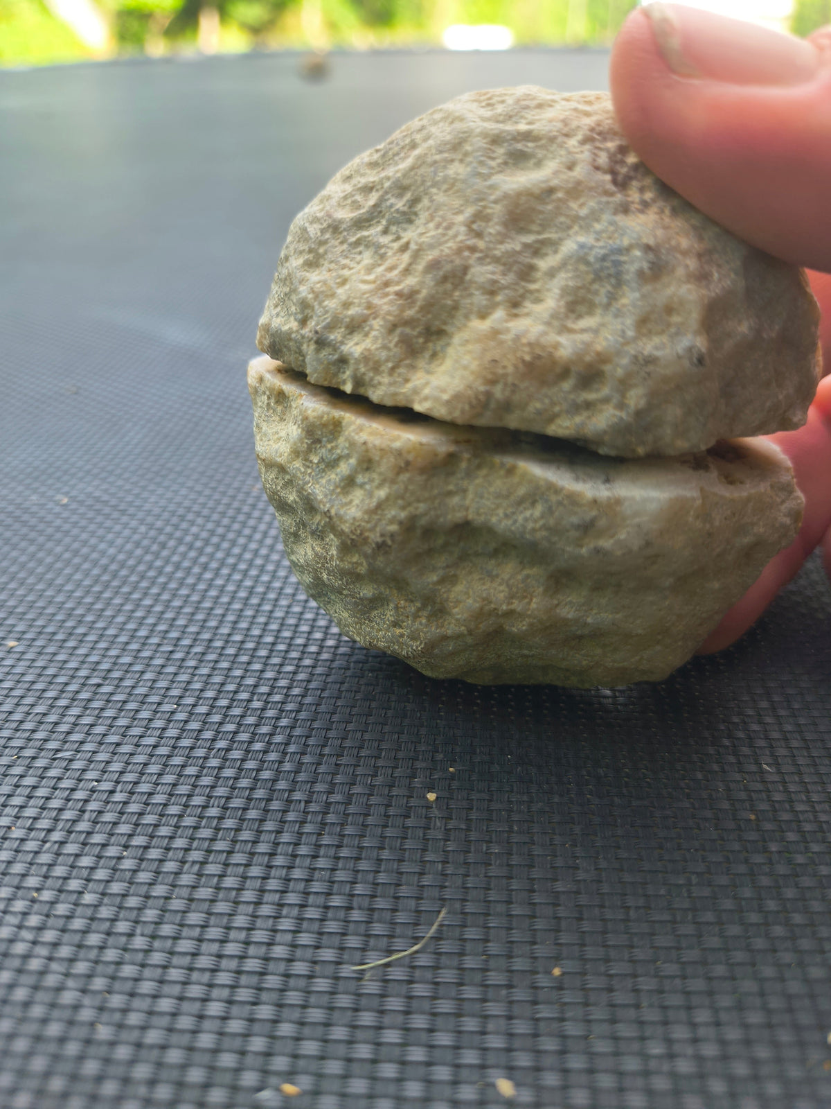 Close-up of a whole Kentucky geode showing the saw-scored seam for easy opening, from a 5 lb crack-your-own geode lot
